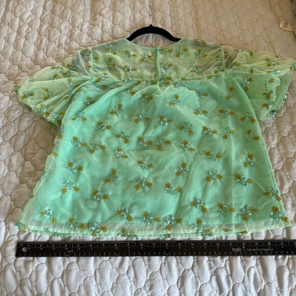Sz 2P Anthropologie Mint Green Floral Embroidered Sheer Blouse - Picture 6 of 7